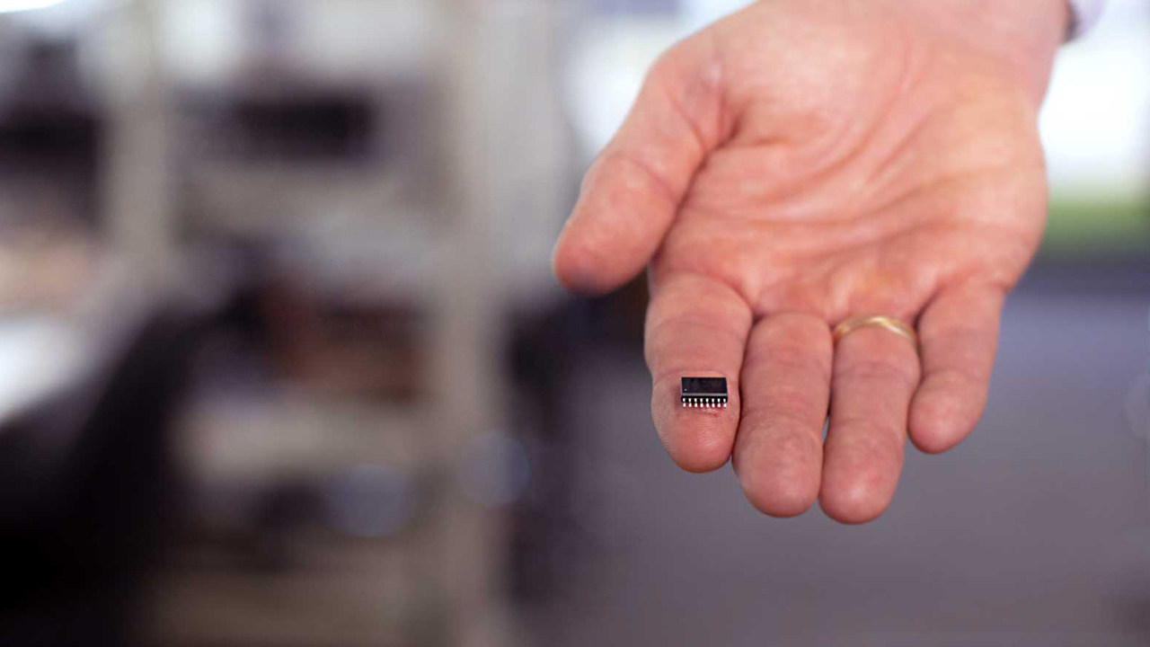 Picture of hand holding a computer chip